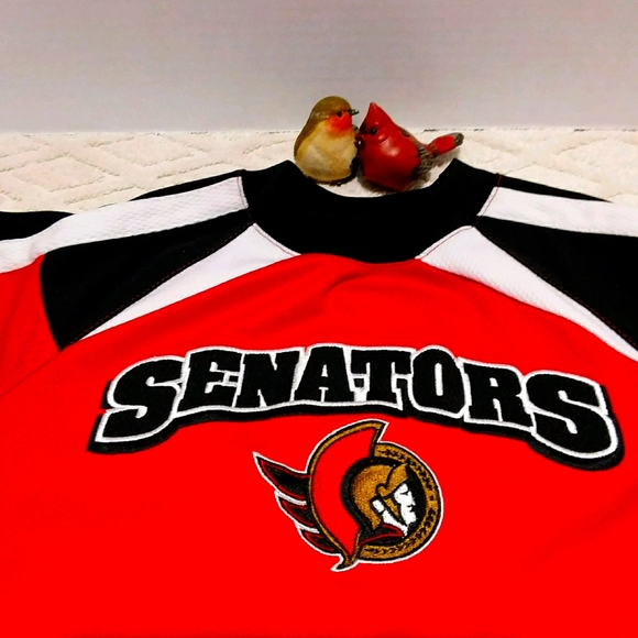 Ottawa Senators Mighty Mac jersey-EUC - Picture 3 of 8